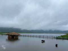 -腾冲北海湿地