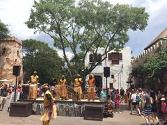 -奥兰多迪士尼动物王国乐园