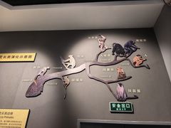 -辽宁古生物博物馆