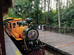 -合肥滨湖国家森林公园