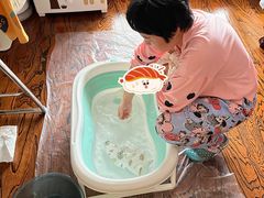 -好孕妈妈月嫂(沈河总店)