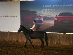 -松声马术俱乐部