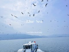 -海埂大坝