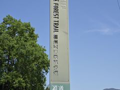 -福道