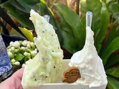 -野人先生Gelato(上海长宁龙之梦店)