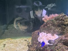 -邯郸海洋世界