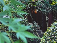 -西湖游船