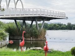 -大兴滨河森林公园