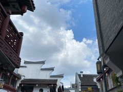 -王阿姨文昌油赞子(府桥街店)