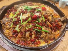 -老板恋上鱼(高新万达店)
