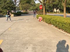 -上海市公安局交通警察总队车辆管理所三分所