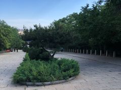 -府君山公园
