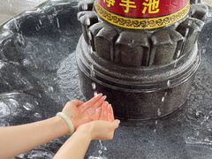 -深圳仙湖植物园