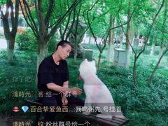 -瀛洲公园