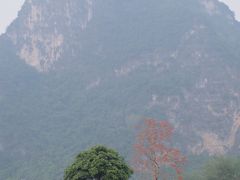 -明仕田园
