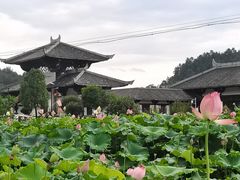 -紫鹊界梯田景区