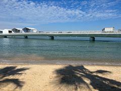 -五缘湾湿地公园