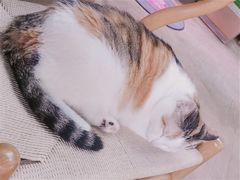 -黑胶星球(华发中城商都店)