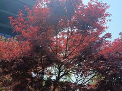 -杭州半山国家森林公园