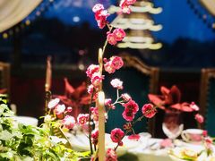 -好福记饭店(红梅公园店)