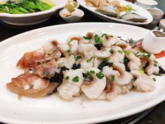 深海东星斑-东江海鲜酒家(艺都分店)
