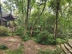 -上海佘山国家森林公园天马山园