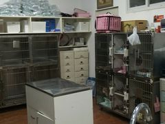 -丹景宠物医院·全科·老年病·牙科(武昌诊疗中心)