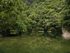 -龙湾潭国家森林公园