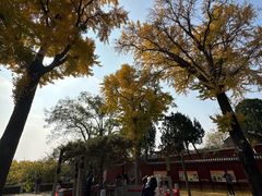 -泰山风景名胜区-普照寺