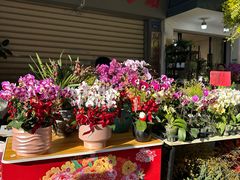 -溪岸路花鸟市场