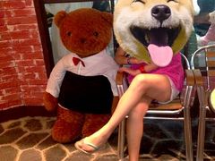 -济州岛泰迪熊博物馆