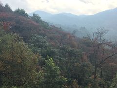 -广州市石门国家森林公园