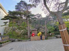 -黄山白云宾馆