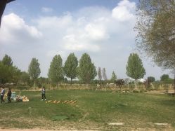 -圣露庄园·草坪婚礼·宴会厅·会议