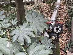 -狼山风景名胜区