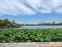 -济南大明湖景区