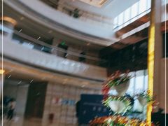 -东旭阳光国际大酒店