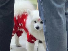 -蔚海之都·象山蒸汽海鲜(仙霞路店)