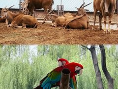 -石家庄市动物园