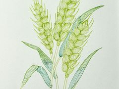 -八哥美术·成人美术画室(总校区)