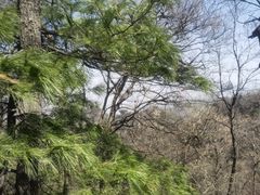 -少华山国家森林公园