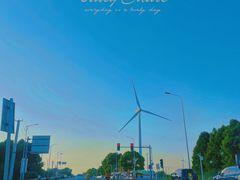 -小陆莲花蟹园农家乐(莲花岛店)