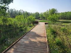-东郊湿地公园