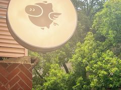 -WHEN PIGS FLY当猪飞
