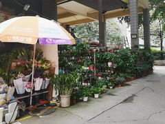 -金田水族花卉市场(银庄大厦店)