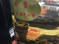 -昆虫窝子·特色云南菜(拓东路总店)