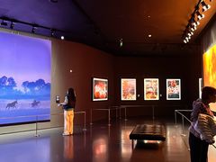 -罗红摄影艺术馆