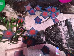 -沈阳海洋探索中心