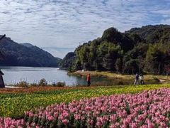-广州市石门国家森林公园