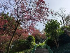 -乌山风景区